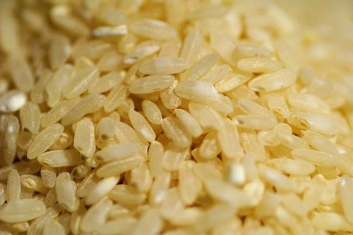 rice-316532_640